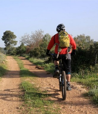 רוכב אופניים ביער חוף הכרמל. צילם: יעקב שקולניק