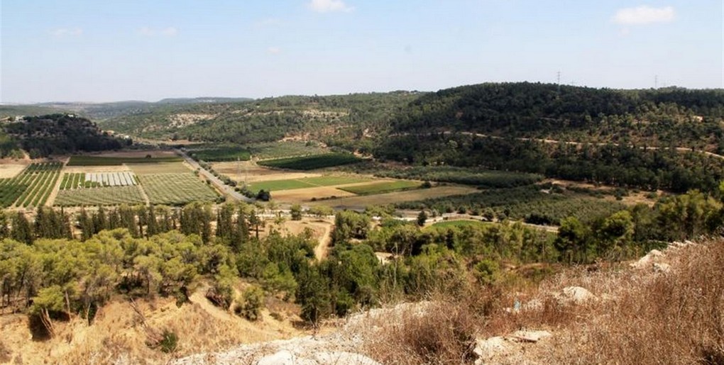 מסלול דרך נוף יער חוף הכרמל. צילם: יעקב שקולניק