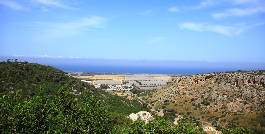 דרך נוף יער חוף הכרמל