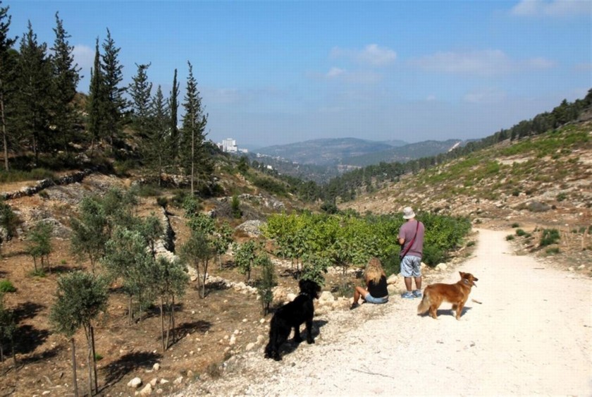 מטיילים בבוסתן. צילם: יעקב שקולניק