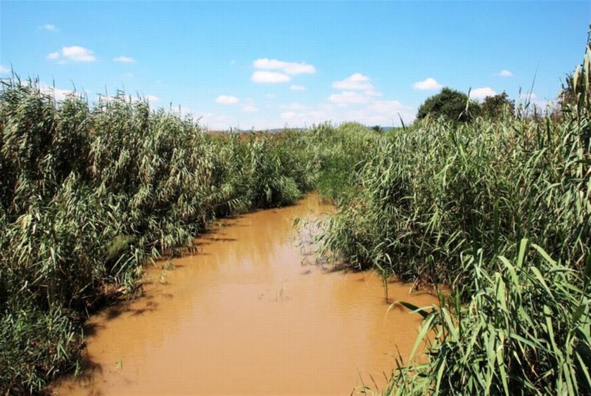 נחל קישון ליד כפר ברוך. צילם: יעקב שקולניק