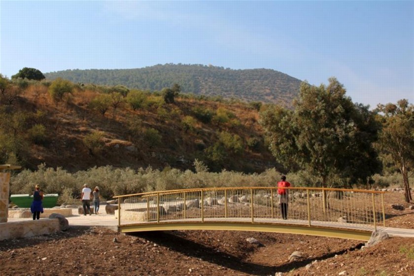 גשרון. צילם: יעקב שקולניק