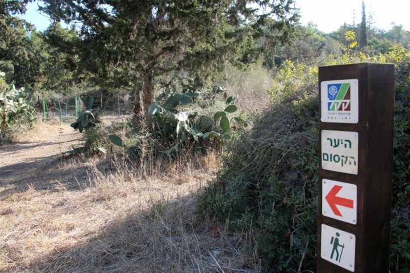 שלט הכוונה בחניון הזיתים. צילם: יעקב שקולניק