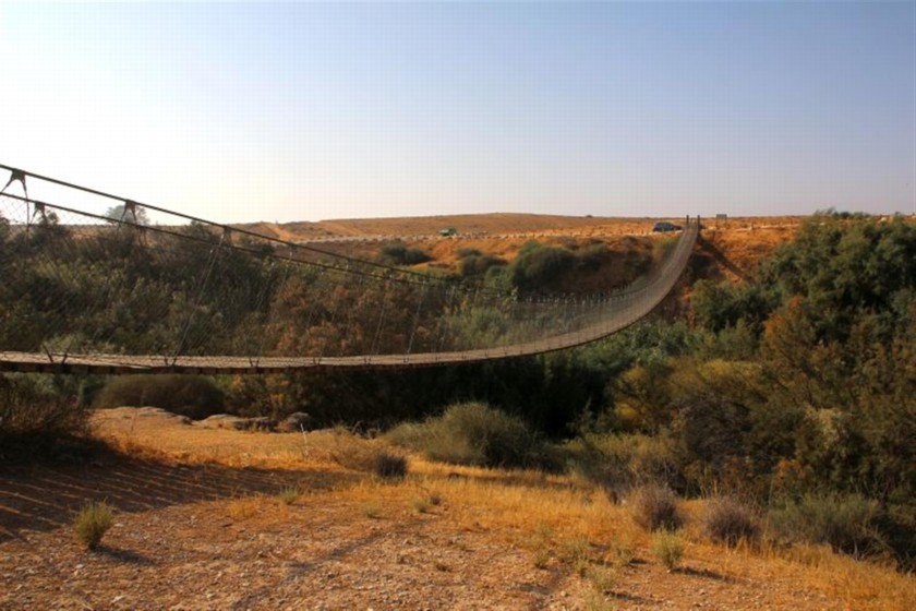 גשר החבלים. חוויה מתנדנדת. צילם: יעקב שקולניק