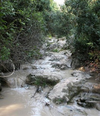 נחל ברק בזרימת חורף. צילום: יעקב שקולניק