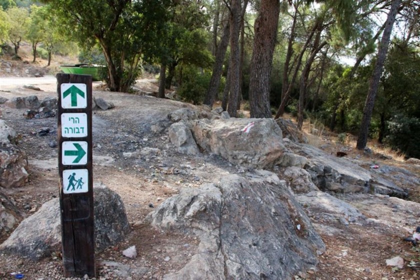 שלט הכוונה בכניסה למסלול. צילום: יעקב שקולניק