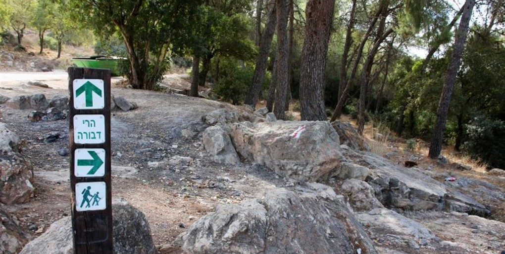 מסלול נחל ברק בן אבינעם. צילום: יעקב שקולניק