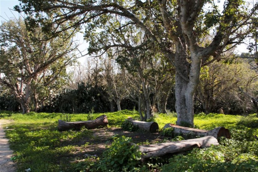 פינת מנוחה בצד הדרך. צילם: יעקב שקולניק