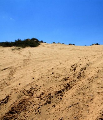 נחל שקמה - דיונה. צילם: יעקב שקולניק