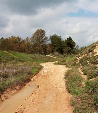 השביל בנחל פורה. צילם: יעקב שקולניק