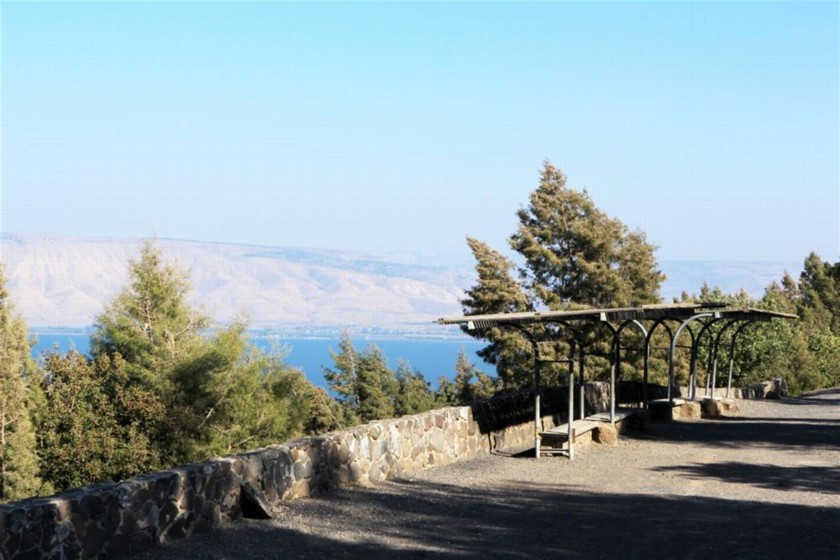 מצפור יער שווייץ. צילם: יעקב שקולניק