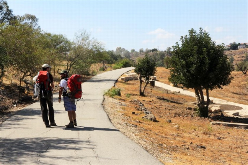 שביליסטים ביער שווייץ. צילם: יעקב שקולניק
