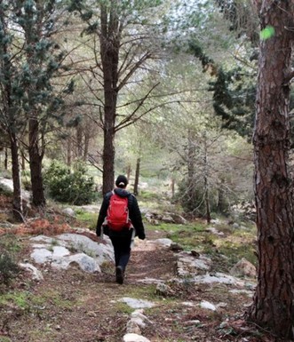 ממראות  השביל. צילם: יעקב שקולניק
