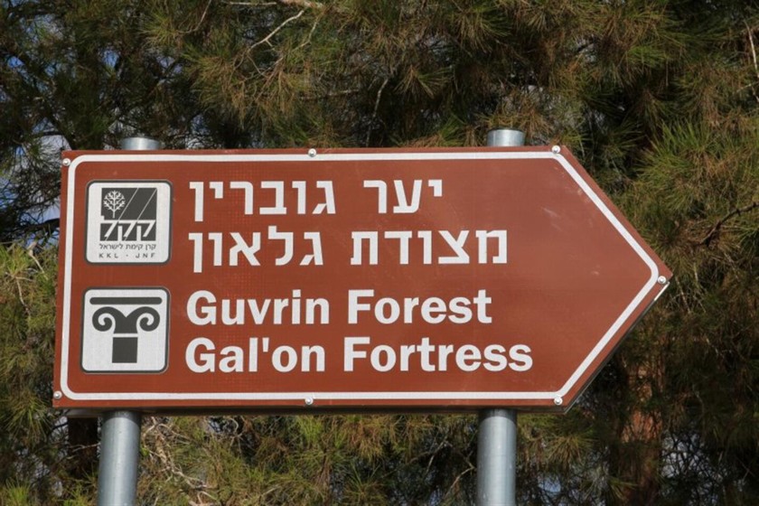 שלט הכוונה. צילום: יעקב שקולניק