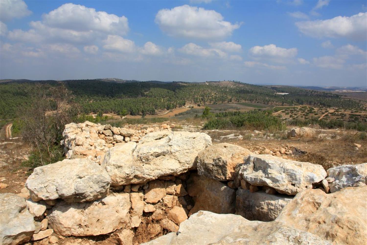 שרידי מגדל תצפית אדוריים. צילום: יעקב שקולניק