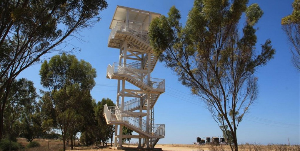 מסלול מגדל התצפית ביער כיסופים