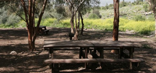 עין פיק. צילום: אבי הירשפילד