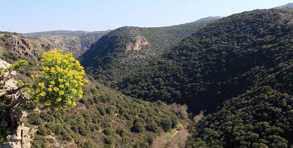 מסלול פארק גורן. צילום: יעקב שקולניק