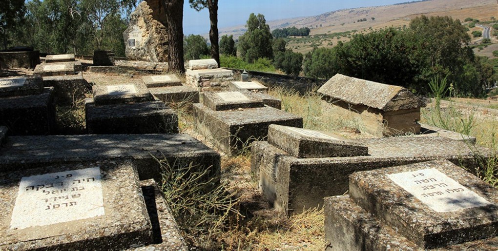 מסלול טיול במשמר הירדן הישנה. צילום: יעקב שקולניק