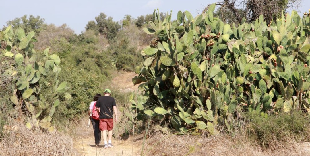 מסלול טיול בשביל הבארות ובורות המים שבפארק בריטניה