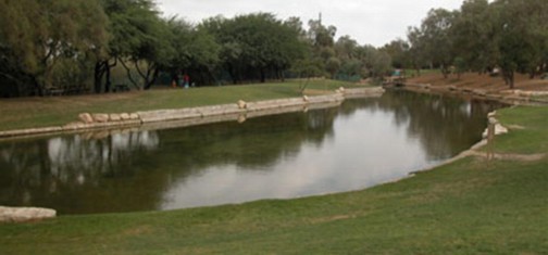 פארק אשכול. צילום: יעקב שקולניק