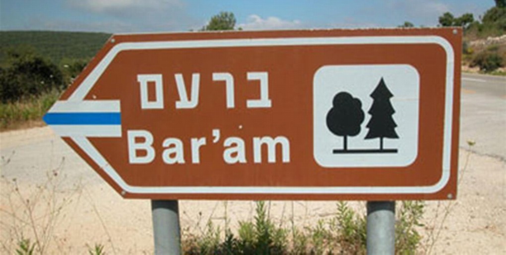 מסלול טיול ביער ברעם. צילום: יעקב שקולניק