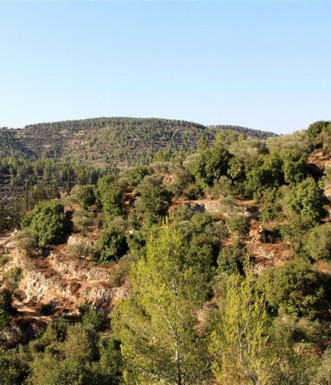 נוף הרי יהודה כפי שנראה משביל הבעל. צילום: יעקב שקולניק