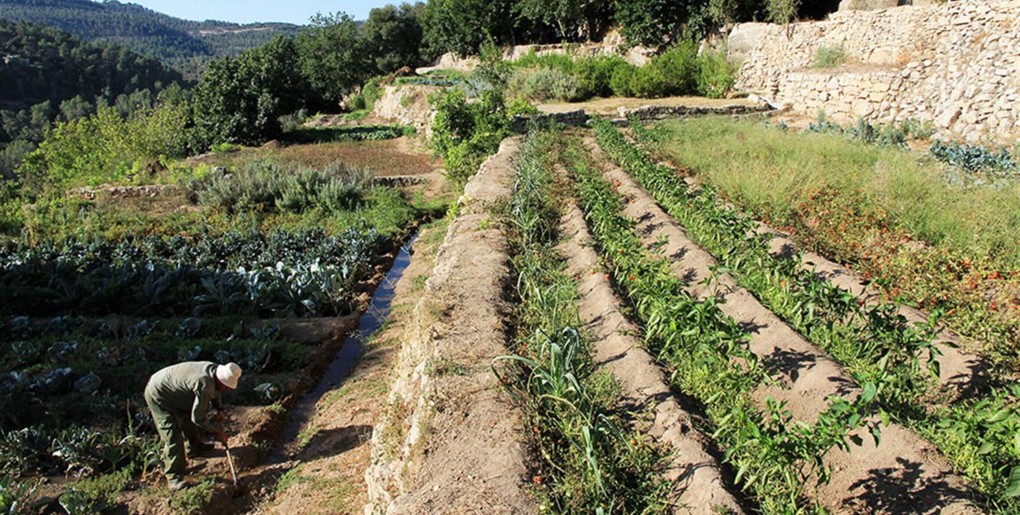 מסלול שביל הבעל בסטף. צילום: יעקב שקולניק