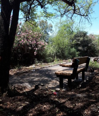 שביל הדייג. צילום: פנינה צייזלר