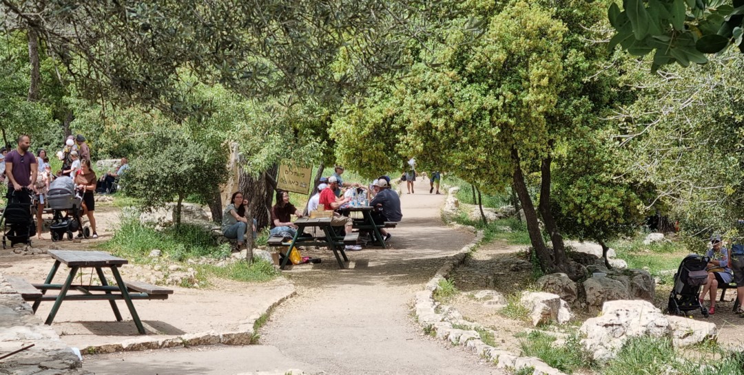 מסלול שביל נופי נחל שורק/נשות הדסה