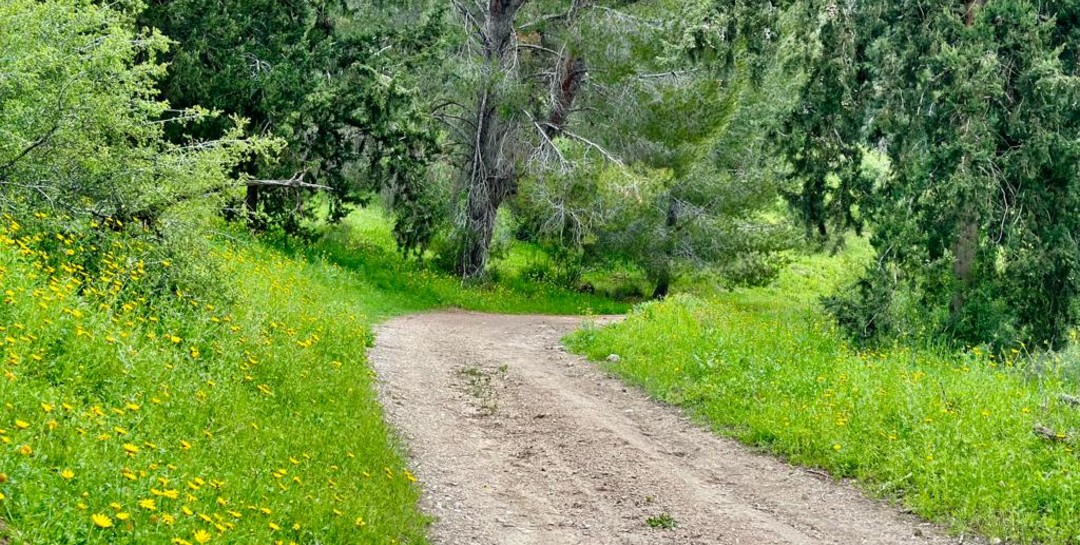 מסלול טיול נגיש בפארק איילון קנדה. צילום: בוני שיינמן, קק"ל