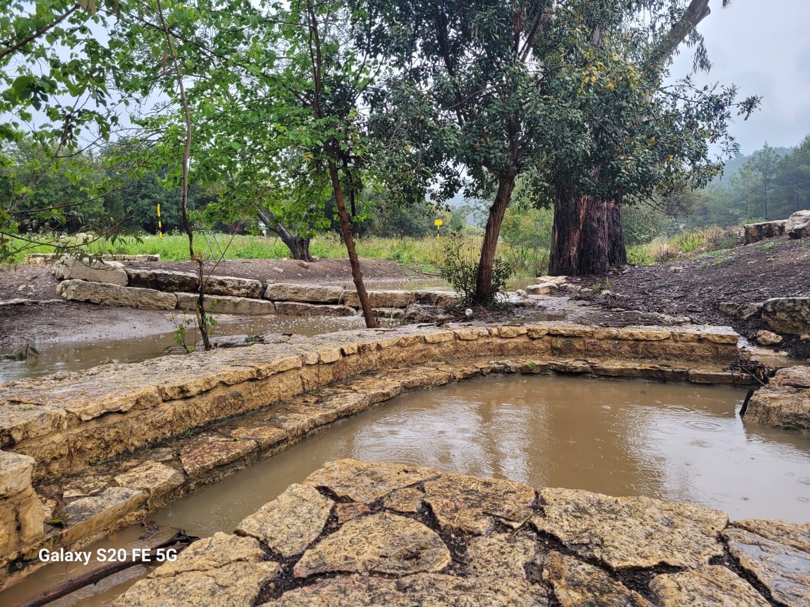 זרימה בעין מסילה, יער אשתאול. קרדיט: מירה זר, קק"ל