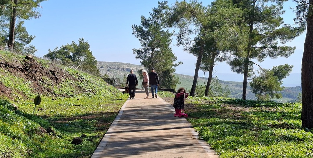 שביל נגיש ביער גבעת המורה. צילום: פנינה צייזלר, ארכיון הצילומים של קקל