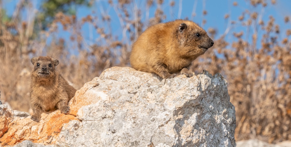 דרך נוף גלבוע
