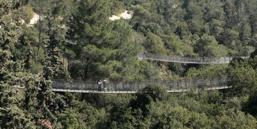 הגשרים התלויים מעל נחל קטיע. צילום: יעקב שקולניק, ארכיון הצילומים של קקל