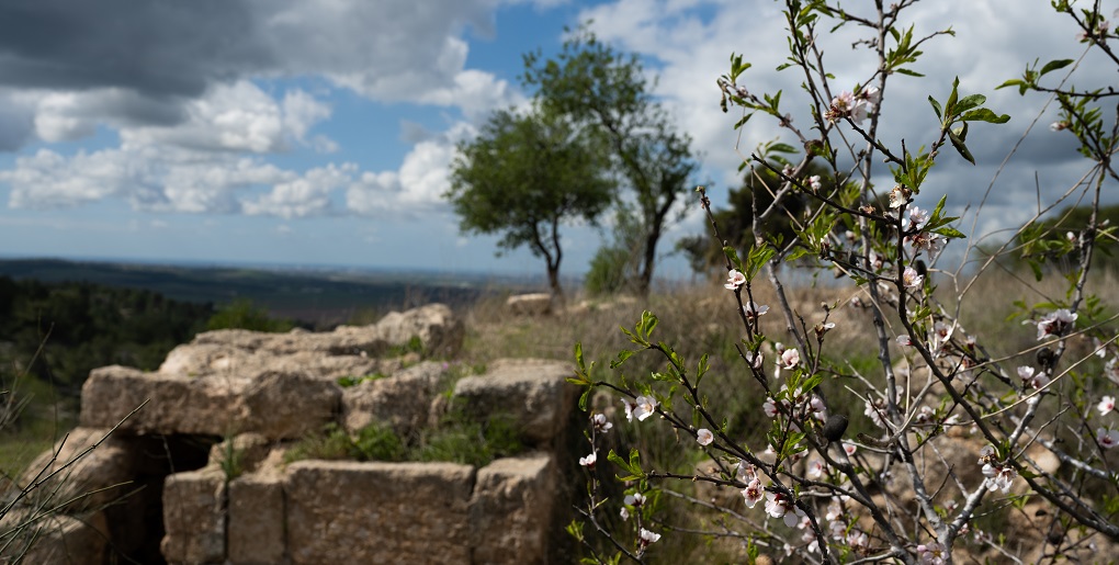 מסלול ב פארק איילון-קנדה. צילום: אילן שחם, ארכיון הצילומים של קק"ל