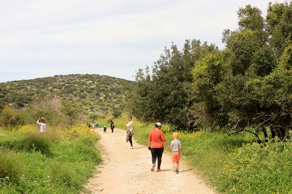 הדרך חזרה עוברת בגיא נחמד. צילום: יעקב שקולניק, ארכיון הצילומים של קק"ל