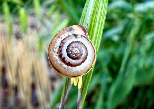 לרגל יום האושר הבינלאומי - מסלולים מומלצים לריפוי הגוף והנפש ביערות קק"ל