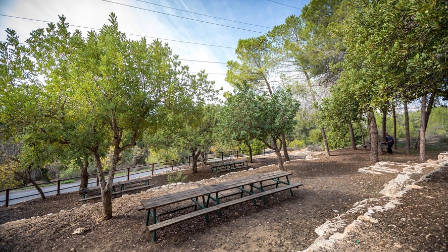שביל הארז. צילום: אבי בלבן, ארכיון הצילומים של קק״ל שביל הארז. צילום: אבי בלבן, ארכיון הצילומים של קק״ל