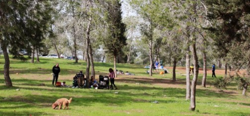 מבלים בחורשה שליד מאגר פורה. צילום: יעקב שקולניק