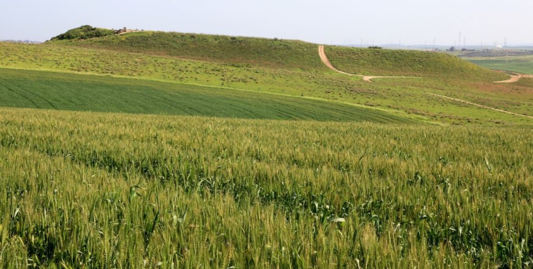 מסלול משמורת פורה לתל נגילה. צילום: יעקב שקולניק