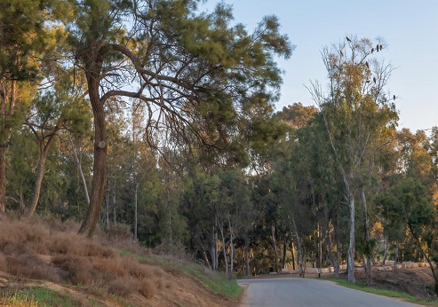 פארק שרשרת נחל גרר