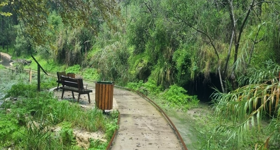 צילום: בלה נודלמן, קקל