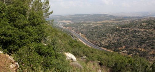 גבוה מעל שער הגיא. צילום: יעקב שקולניק