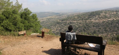 גבוה מעל שער הגיא. צילום: יעקב שקולניק