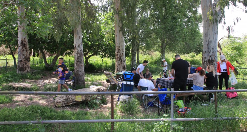 פיקניק בעין סוקר. צילום: יעקב שקולניק, ארכיון הצילומים של קקל