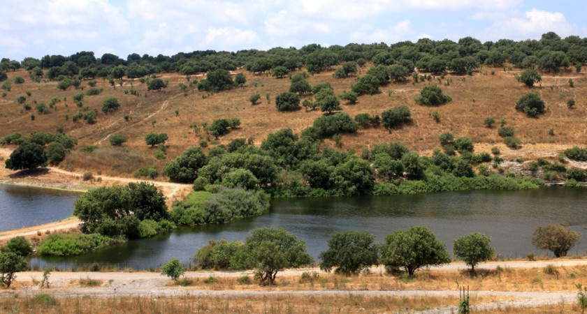 מאגר גלעד. צילום: יעקב שקולניק