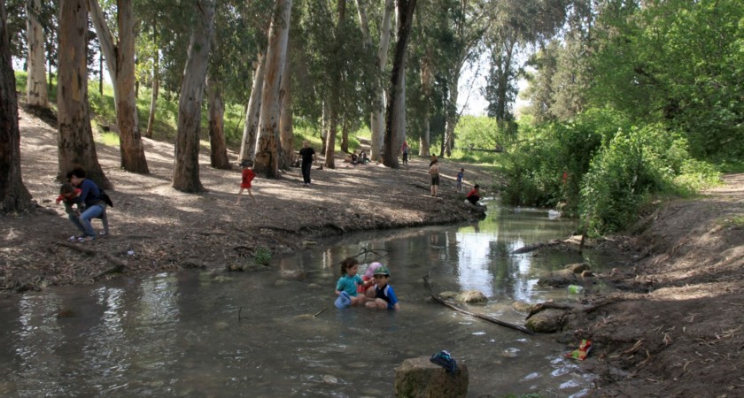 מבלים בנחל קיני. צילום: יעקב שקולניק