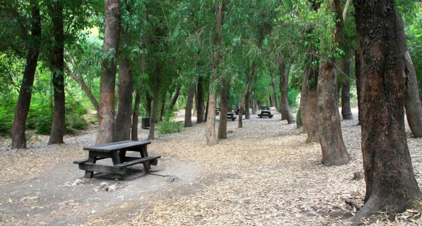 נחל גחר ליד עין שיכר. צילום: יעקב שקולניק