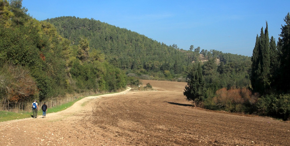 נחל, שדה ויער. מנופי השביל. צילום: יעקב שקולניק, ארכיון הצילומים של קק"ל